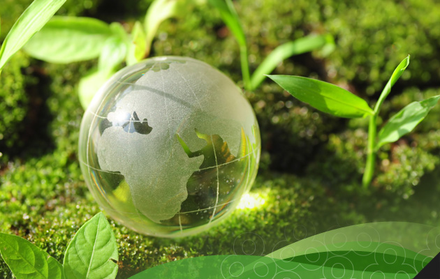 Environment